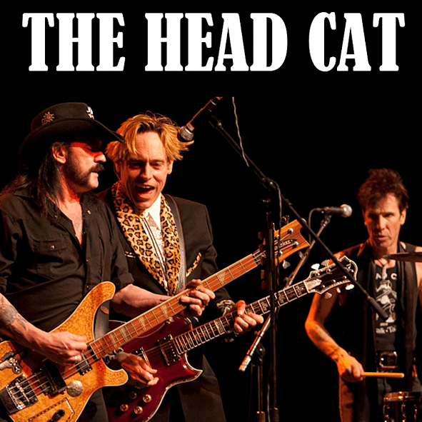 The Head Cat